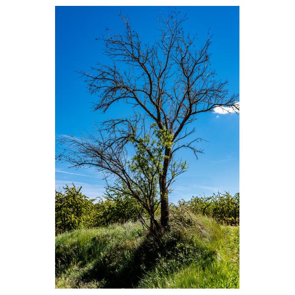 PHOTO84, CLUB, 84 , LUBERON